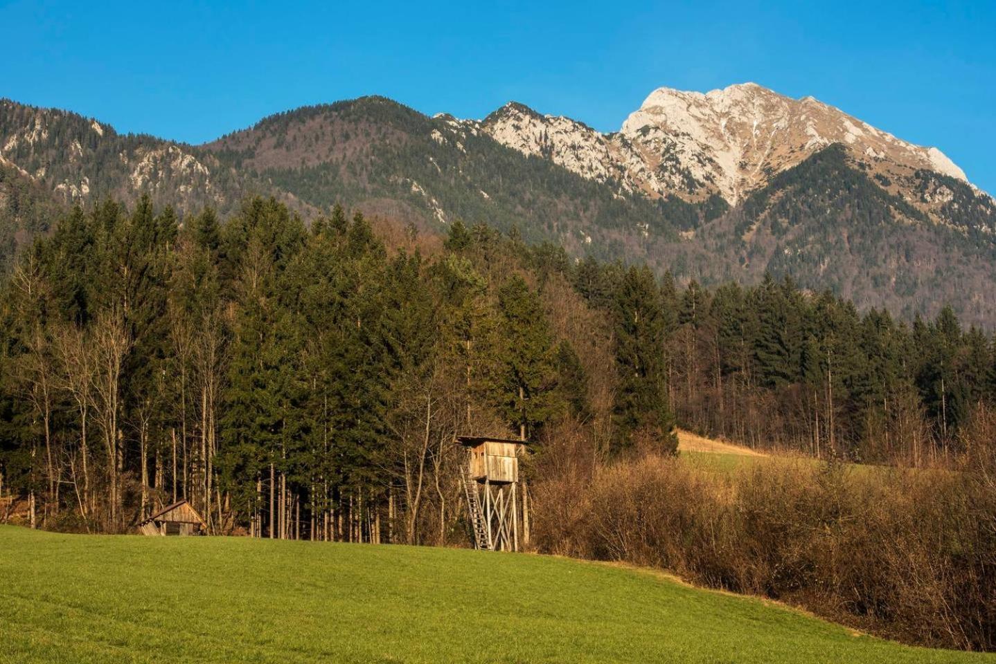 Little Dream House In A Perfect Spot Villa Zalog Bagian luar foto